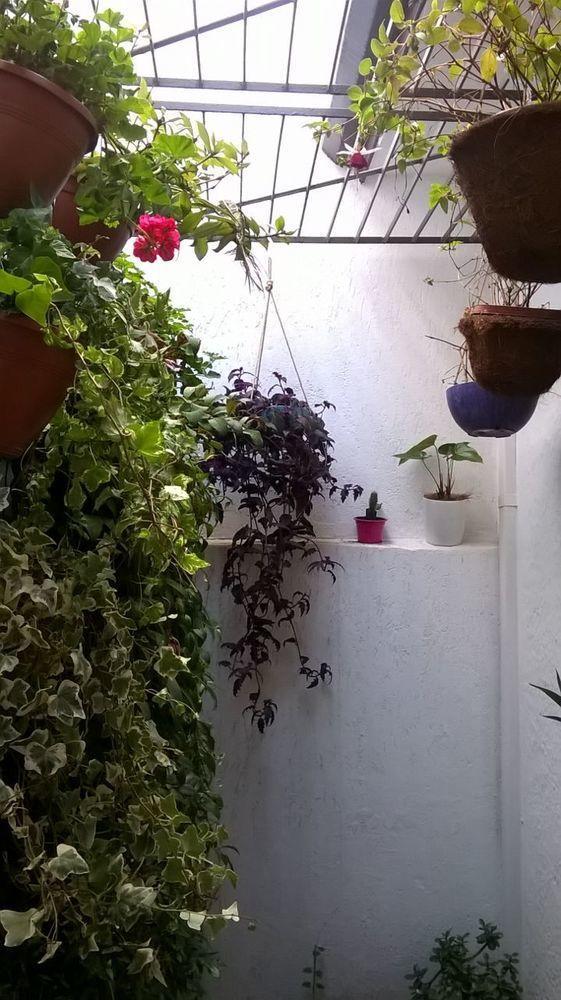 Hostel Flor De Maria São Paulo Luaran gambar